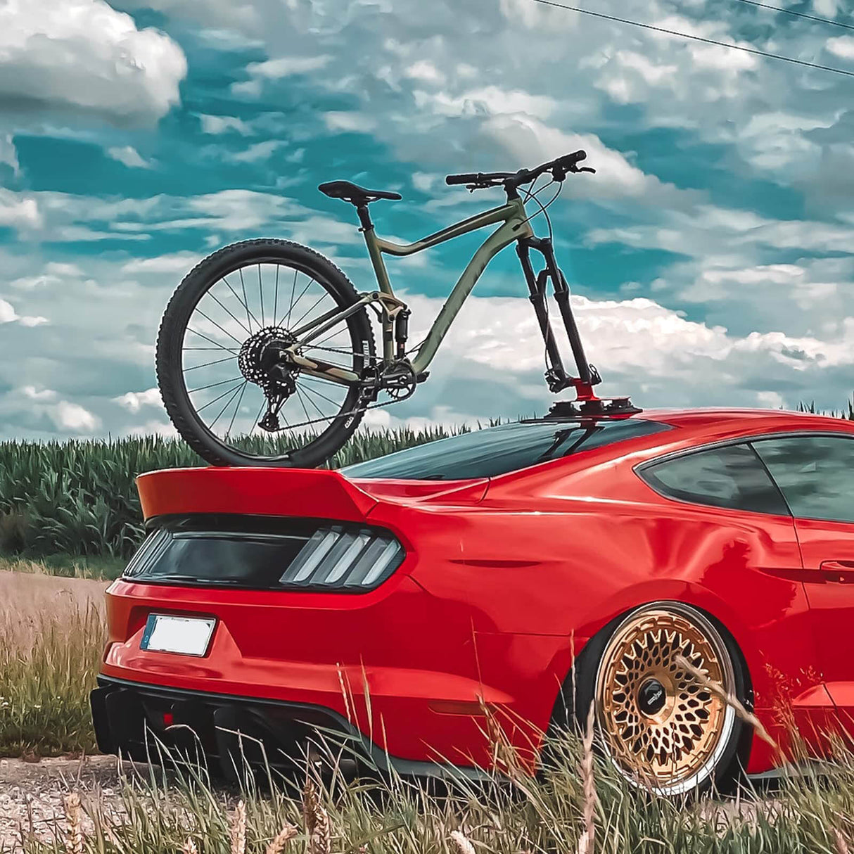 Bagażnik Rowerowy z Przyssawkam