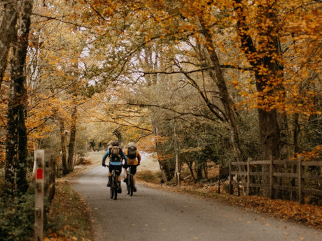 Kompletny przewodnik po jesiennej jeździe na rowerze w Polsce🍂