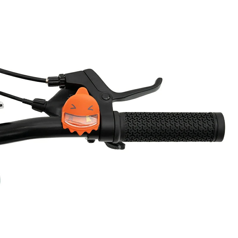 ROCKBROS SLT – Rower Dziecięcy 20 Cali Rower Dziecięcy