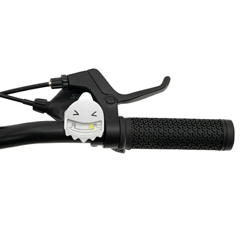 ROCKBROS SLT – Rower Dziecięcy 20 Cali Rower Dziecięcy