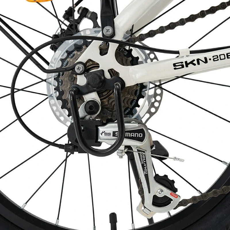 ROCKBROS SKN–20 Calowy-Rower Składany Rower Składany