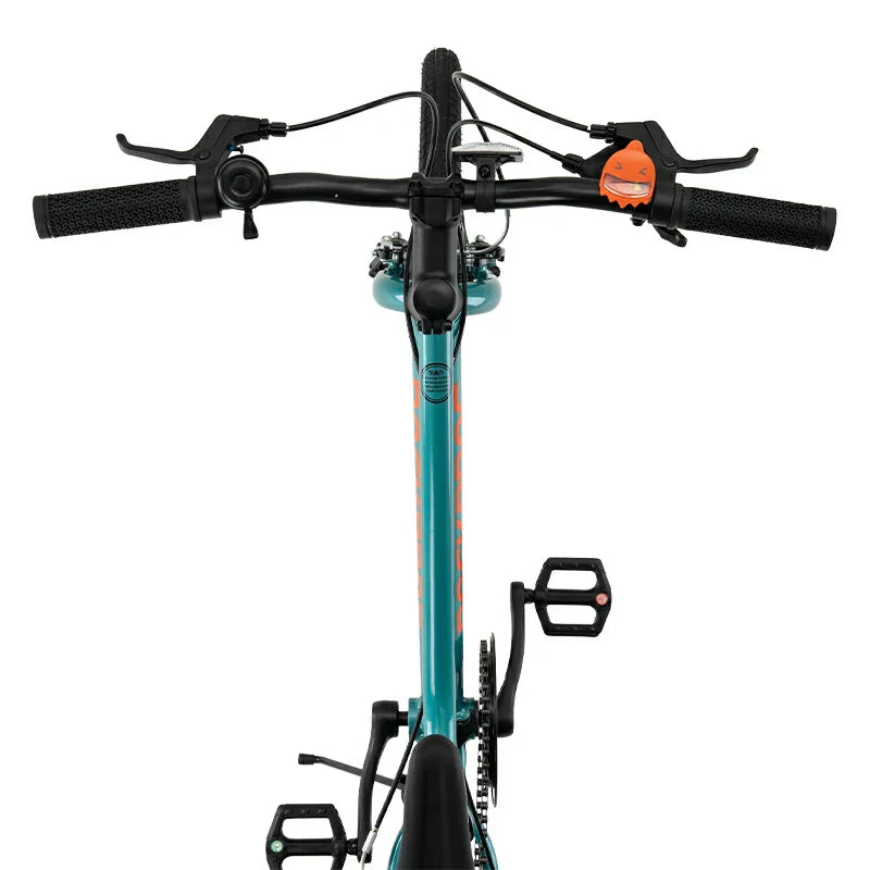 ROCKBROS Future Star – Rower Dziecięcy 20 Cali Rower Dziecięcy