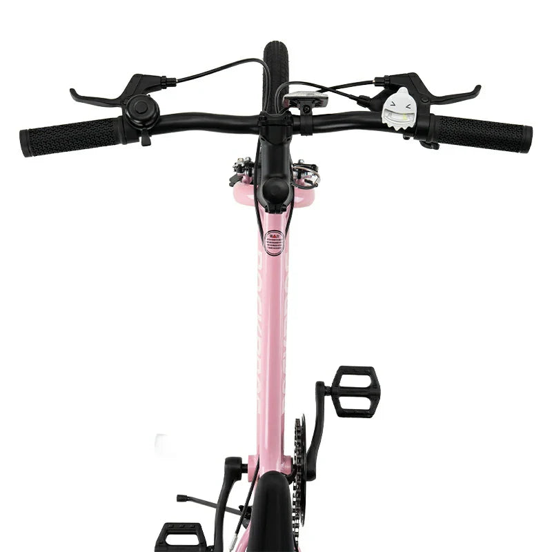 ROCKBROS SLT – Rower Dziecięcy 20 Cali Rower Dziecięcy